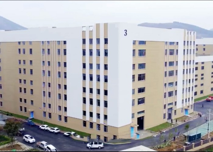 Qingdao Meilianjia International Trade Co., Ltd ligne de production en usine