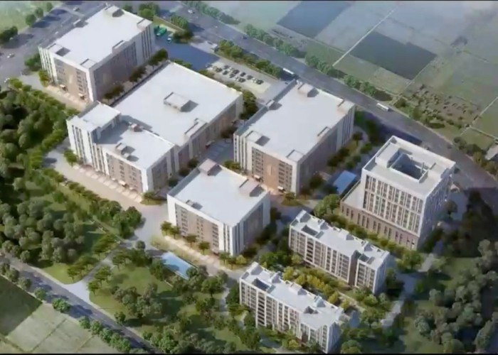 Qingdao Meilianjia International Trade Co., Ltd ligne de production en usine