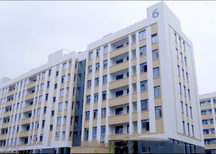 Qingdao Meilianjia International Trade Co., Ltd ligne de production en usine