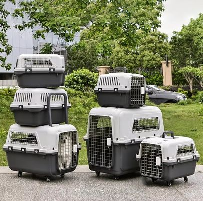 Design à deux portes sûre, porte-bagages pour chiens et chats, avec roues et espace super grand