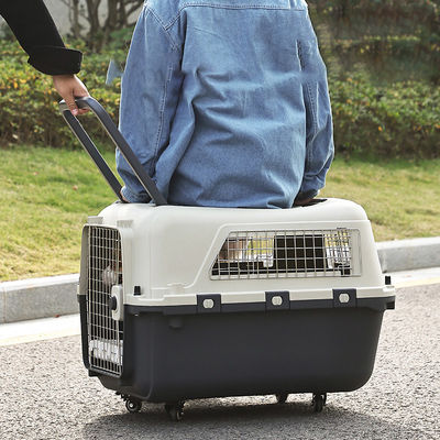 Design à deux portes sûre, porte-bagages pour chiens et chats, avec roues et espace super grand