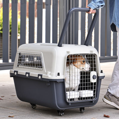 Bouton fermé Sac portable pour animaux de compagnie Cage pour chats de grande capacité pour produits de voyage