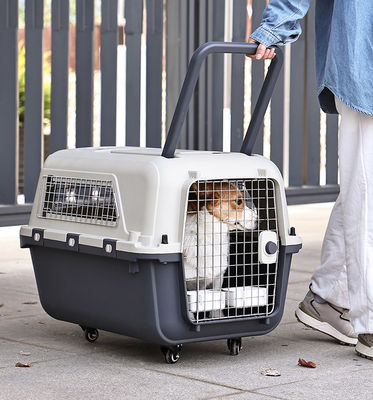 Boîte de transport extérieure pour animaux de compagnie approuvée par la compagnie aérienne
