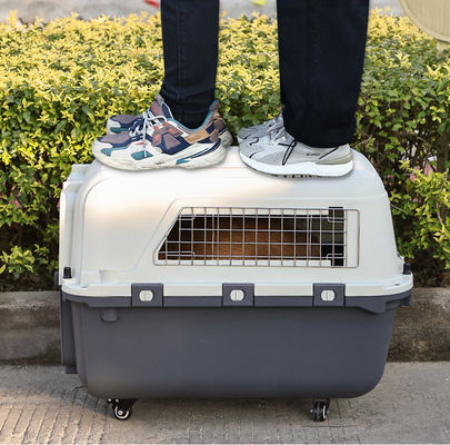 Boîte de transport extérieure pour animaux de compagnie approuvée par la compagnie aérienne