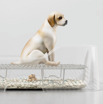 Plateau de toilette pour chiens confortable à l'intérieur Pas de fuite de protection contre les déversements et conception facile à nettoyer