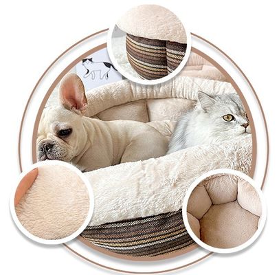 Lit intérieur lavable pour animaux de compagnie pour petits chiens et chatons Conceptions ODM Fonction Calme Confortable
