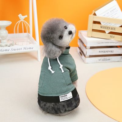 Préparez vos animaux pour la saison froide avec nos vêtements d'hiver plus épais