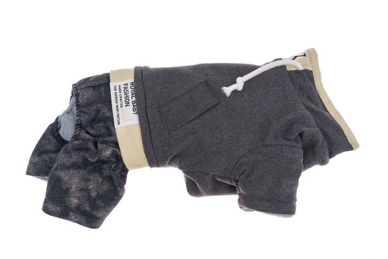 Préparez vos animaux pour la saison froide avec nos vêtements d'hiver plus épais