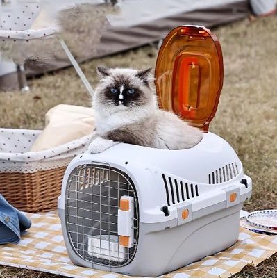 Accessoires de transport automobile Cages de transport d'animaux approuvées pour chiots et chats de petite ou moyenne taille