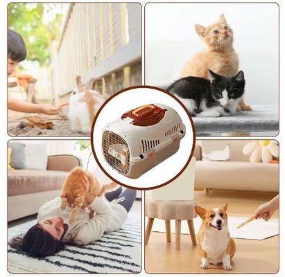 Accessoires de transport automobile Cages de transport d'animaux approuvées pour chiots et chats de petite ou moyenne taille