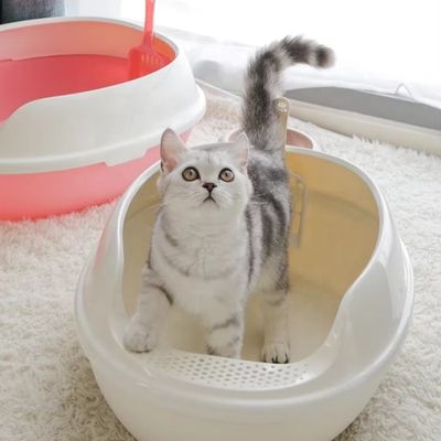 Toilette pour chat en plastique en PP à haute surface, grande boîte à litière pour chat ouverte pour l'intérieur