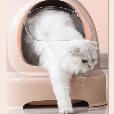 Facile à nettoyer Doraemon Design Cat Litter Box avec scooper et couvercle empêcher la dispersion de la litière