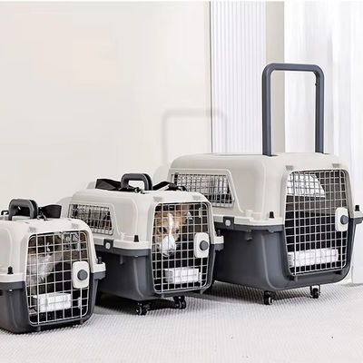 Boîte de transport aérien pour animaux de compagnie pour petits chiens et chats