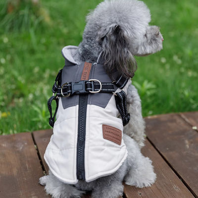 Vêtements pour animaux de compagnie avec harnais
