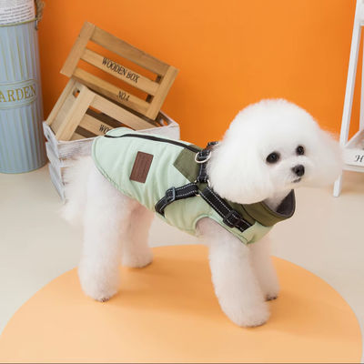 Vêtements pour animaux de compagnie avec harnais
