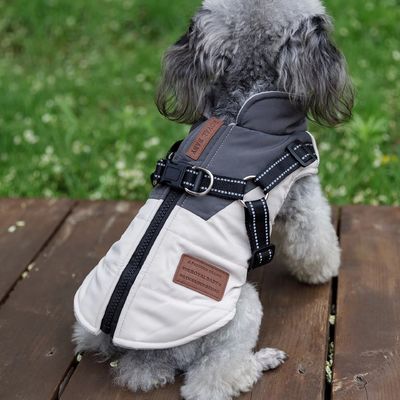 Manteau pour chien de promenade en plein air avec harnais intégré et matériau imperméable
