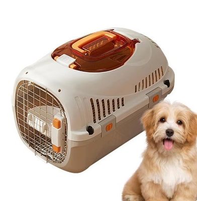 Portable métallique pour animaux de compagnie de transport modèle solide pour le transport des chats et la durabilité