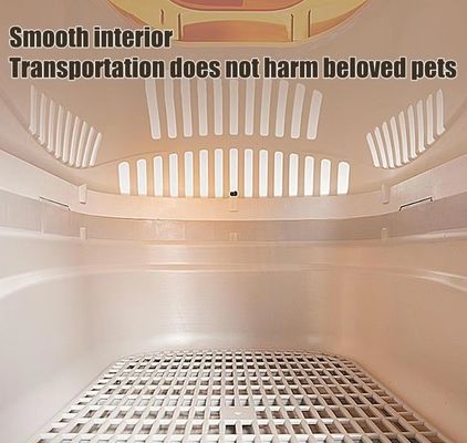Sac de voyage en PP pour animaux de compagnie, porte-chat, boîte de transport aérien à surface dure pour petits chiens et chats