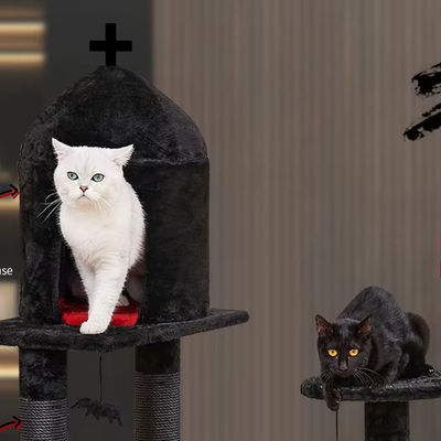 Activités de chat à plusieurs niveaux Meubles de luxe Siasl Arbre de chat avec spider hanging ball