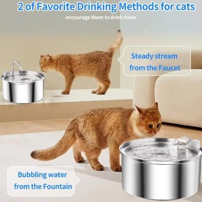 Dispensateur automatique d'eau pour animaux de compagnie en acier inoxydable