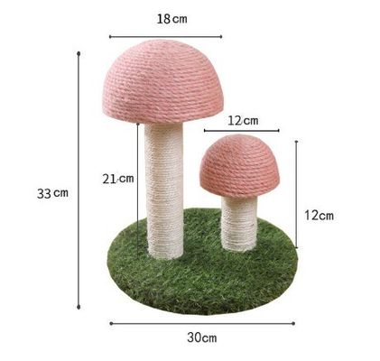 Le chat qui se gratte, qui dort, qui joue au champignon rose, qui s'amuse à grimper à un arbre.