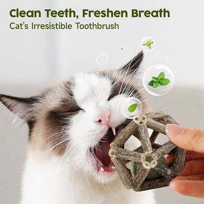 Jouet de chat Silvervine pour le jeu et le nettoyage des dents fabriqué à partir de polygone naturel Arboreum