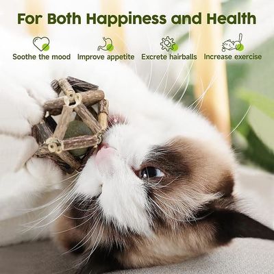 Jouet de chat Silvervine pour le jeu et le nettoyage des dents fabriqué à partir de polygone naturel Arboreum