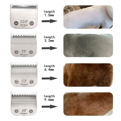 Coupe-cheveux pour chiens de fonction propre et lourde avec affichage LED personnalisé