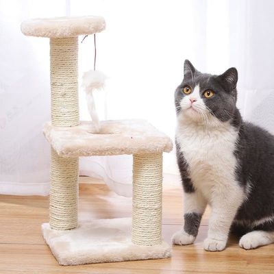 Cadre d'escalade en bois de tour de chat avec nid intégré et colonne d'escalade à plusieurs niveaux