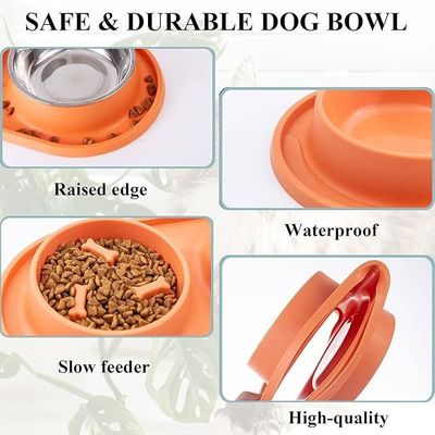 Bouteilles bleues pour chiens à alimentation lente Bouteille pour animaux avec tapis en silicone sans choc Bouteille de conception saine