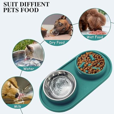 Bouteilles bleues pour chiens à alimentation lente Bouteille pour animaux avec tapis en silicone sans choc Bouteille de conception saine