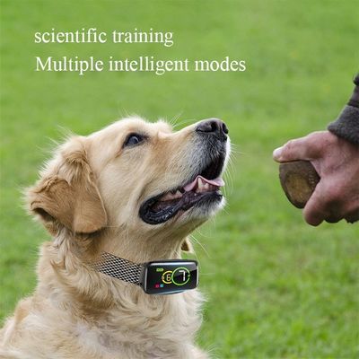 4 modes de fonctionnement Collier à aboiement de chien avec logo personnalisé Acceptable batterie rechargeable
