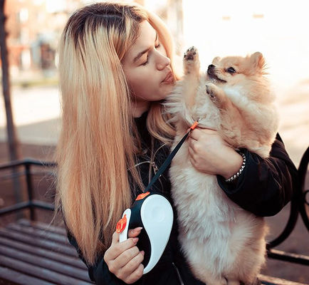 Coiffure de chien rétractable en nylon automatique pour animaux de compagnie avec longueur réglable