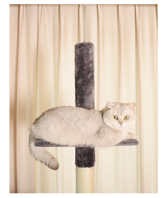 Tour de chat réglable de plancher au plafond avec hamac confortable et fonction de jeu amusant