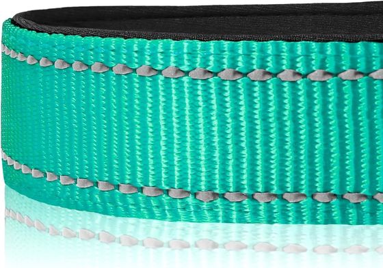 Collier de chien réfléchissant avec rembourrage en néoprène doux
