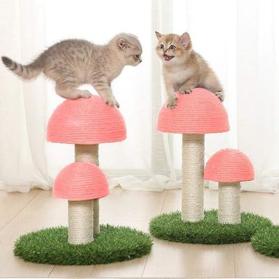Postes d'escalade pour chatons à l'intérieur Postes de grattage pour chat à champignons durables avec jouet interactif