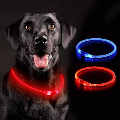 Collier LED pour chien avec logo personnalisé USB rechargeable étanche 3 modes de clignotement