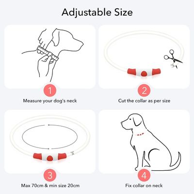 Collier LED pour chien avec logo personnalisé USB rechargeable étanche 3 modes de clignotement