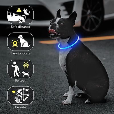 Collier LED pour chien avec logo personnalisé USB rechargeable étanche 3 modes de clignotement