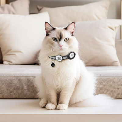 Ceinture réglable Airtag Case Collier de chat avec nylon réfléchissant et boucle de sécurité