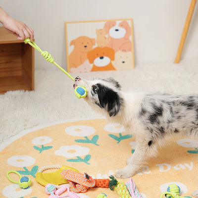 Ensemble de jouets à corde à mâcher en coton en 7 pièces, parfait pour le jeu interactif et l'exercice