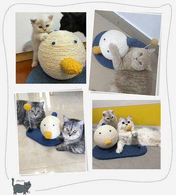 ODM conçoit un jouet de grattage pour chat, une boucle d'exercice pour le jeu amusant et le repos du chat.