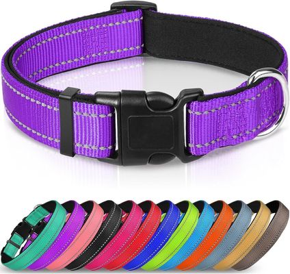 Logo personnalisé Collier de chien en néoprène doux Respirant et confortable pour les chiens actifs