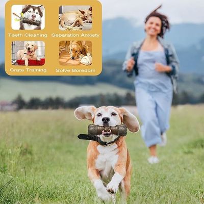 Produits pour animaux de compagnie non toxiques et respectueux de l'environnement Jouet pour chiens à l'intérieur