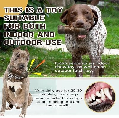 Produits pour animaux de compagnie non toxiques et respectueux de l'environnement Jouet pour chiens à l'intérieur