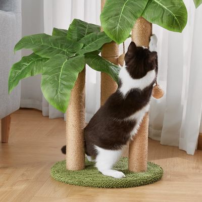 Cadre d'escalade de palmier de noix de coco de chat avec une perche à rayures et des boules suspendues naturelles de sisal