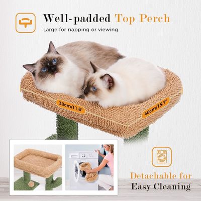 Arbre de chat en bois avec hamac et poteau de grattage