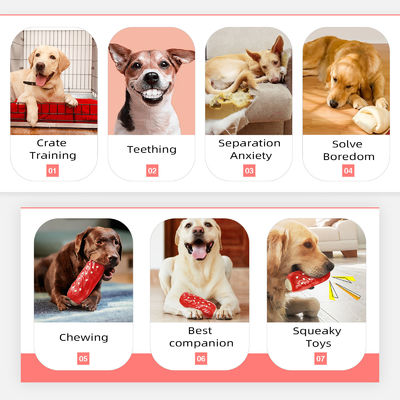 Jouets à mâcher pour chiens de compagnie à grincement Durs et durables pour les mâcheurs agressifs Style à la mode