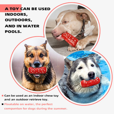 Jouets à mâcher pour chiens de compagnie à grincement Durs et durables pour les mâcheurs agressifs Style à la mode