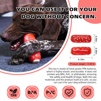 Jouets à mâcher pour chiens de compagnie à grincement Durs et durables pour les mâcheurs agressifs Style à la mode